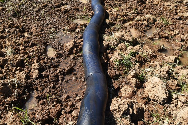Drain Field Repair